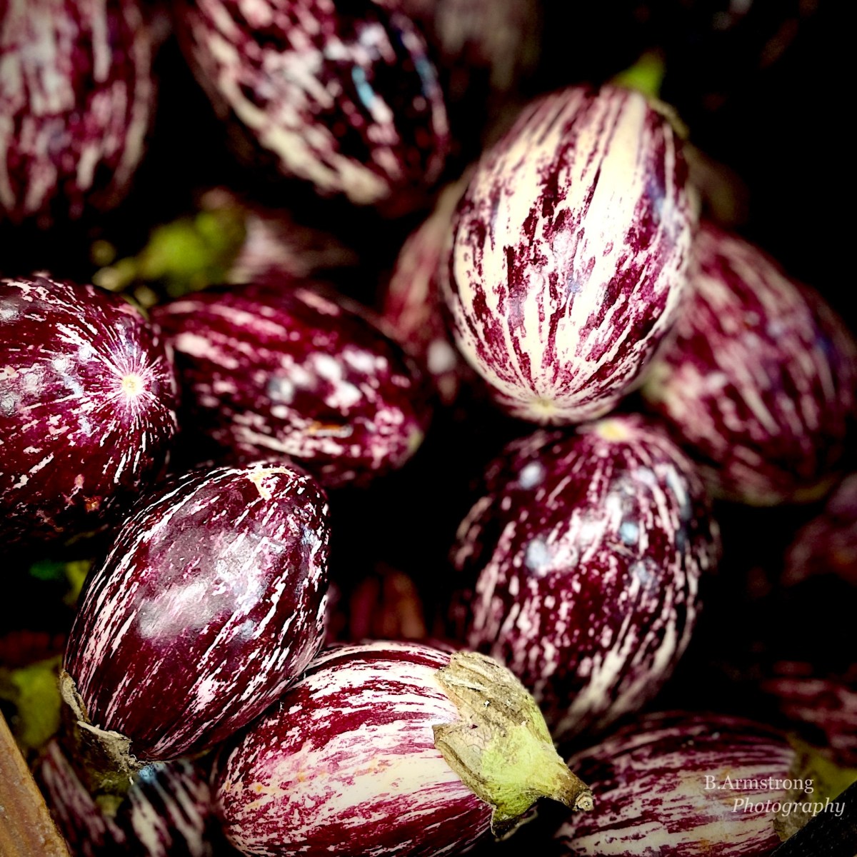 this little piggy went to&nbsp;market…